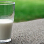 5 tipos de leche que puedes elegir